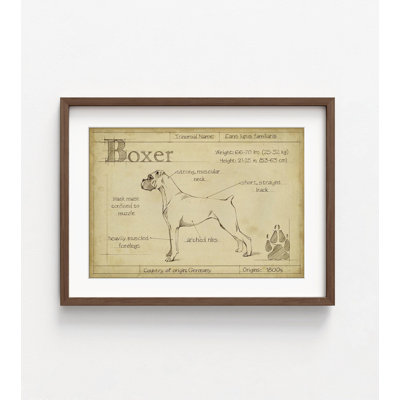 Antique Boxer (ASH) By Ethan Harper, Boxer Dad Birthday Gift Idea, Large Dog Poster Print, Boxer Surprise Gift Wall Art