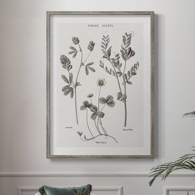 Multi Botanical I Framed Print - Solid Wood 48179