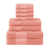 Coral is out of stock