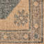 Cesia Oriental Hand-Knotted Rectangle Area Rug in Beige-223542889