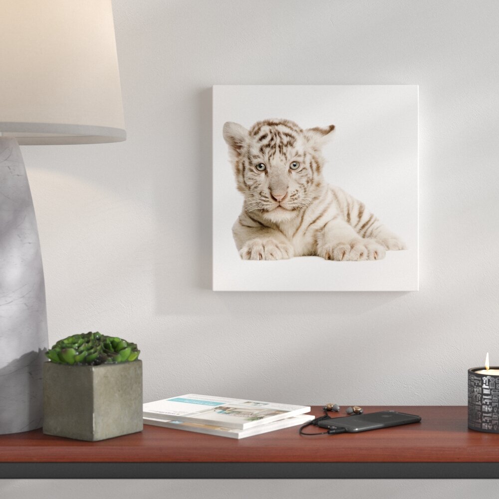 Glasbild Tiger Baby, Fotodruck