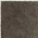 Taiwo Shaggy Taupe Area Rug