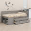 Lit de jour avec tiroirs et tablettes-443369930