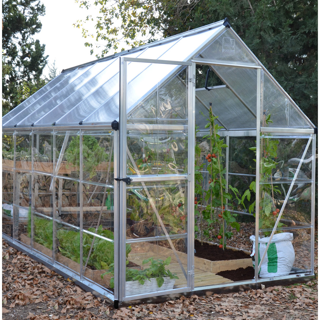 Hybrid 6 Ft W x 12 Ft D Hobby Greenhouse