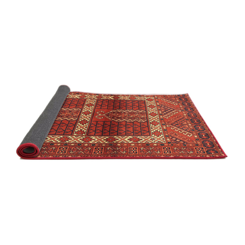 Oriental Indoor Rug, Rectangle 4' x 6'