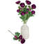 Roses et tiges