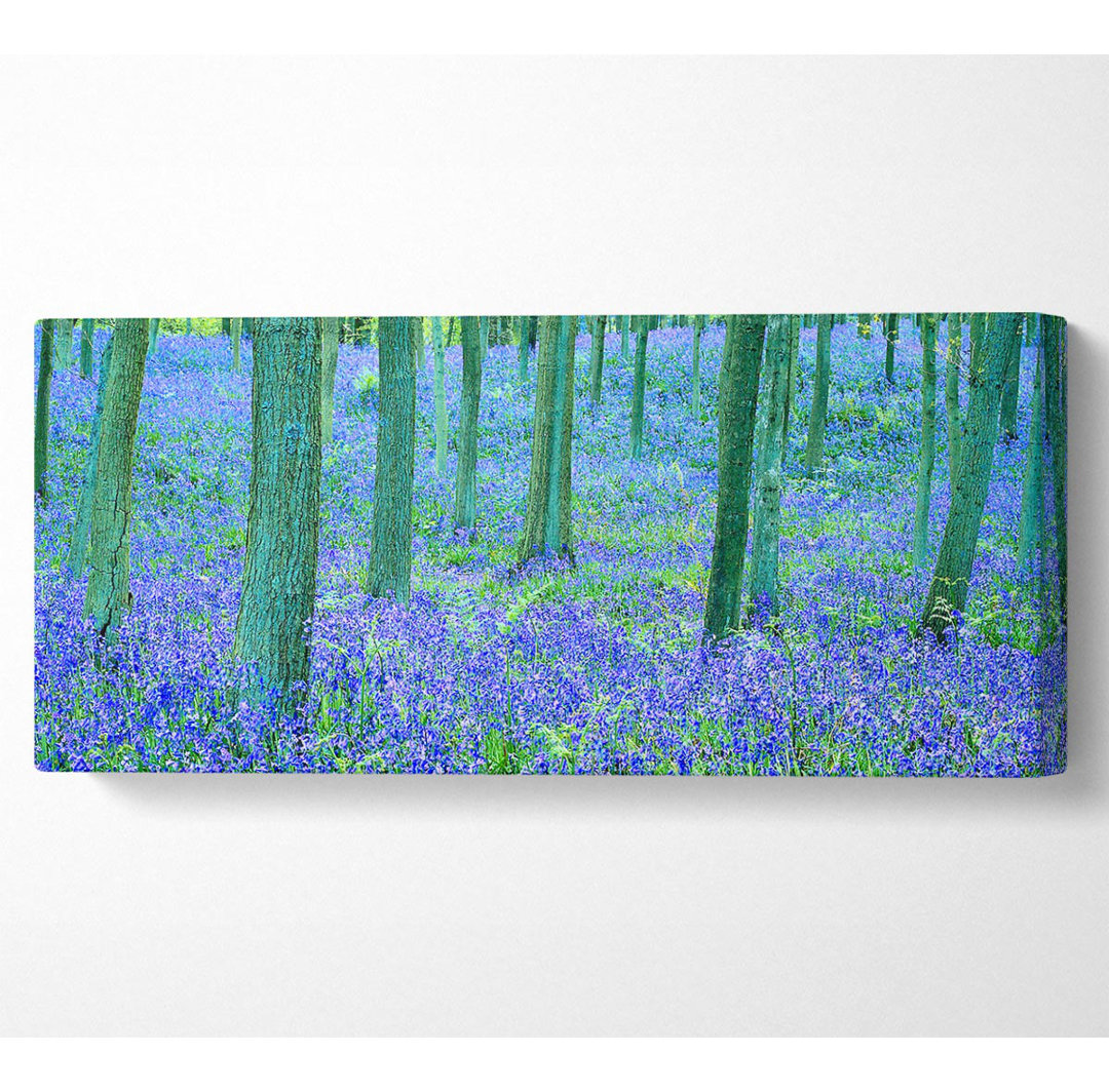 Leinwandbild Bluebells In The Forest