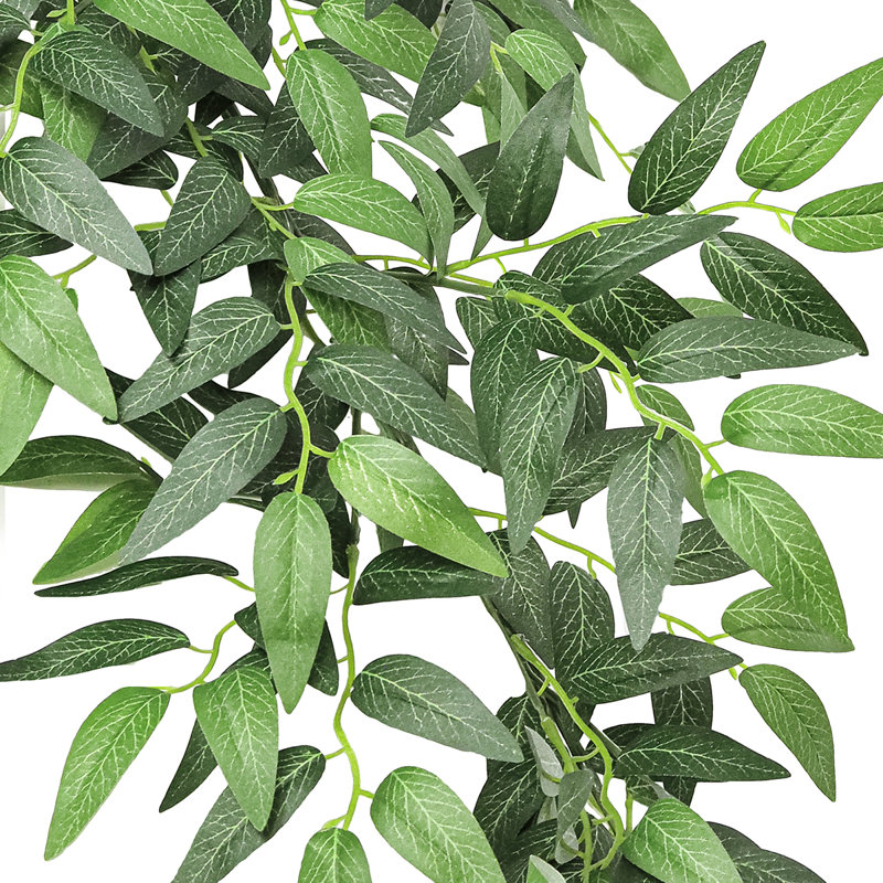 Ruscus artificiel italien Smilax
