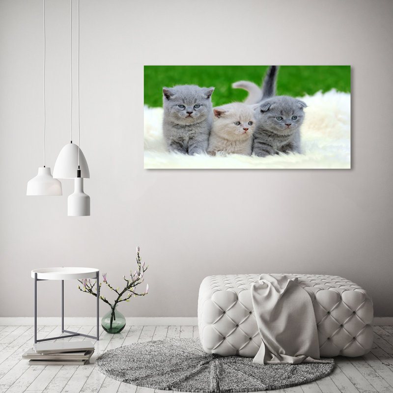 Three Cats On A Blanket - Wrapped Canvas Print