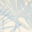 Sunlit Palm Sisal Wallpaper-58849749