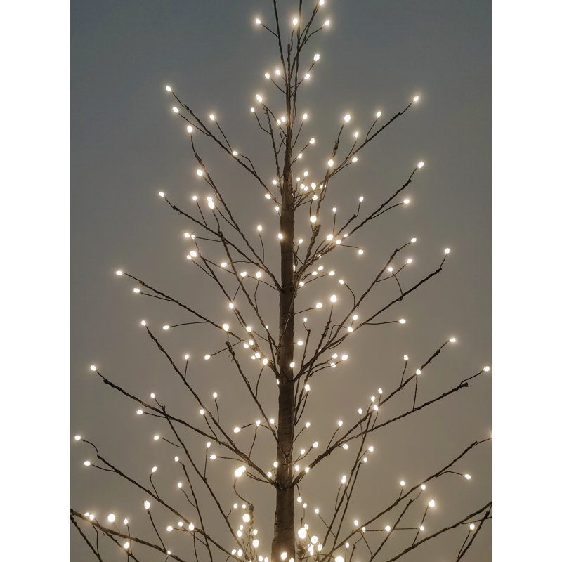 Black Birch Tree with LED Lights Indoor Use Only, 47.24"