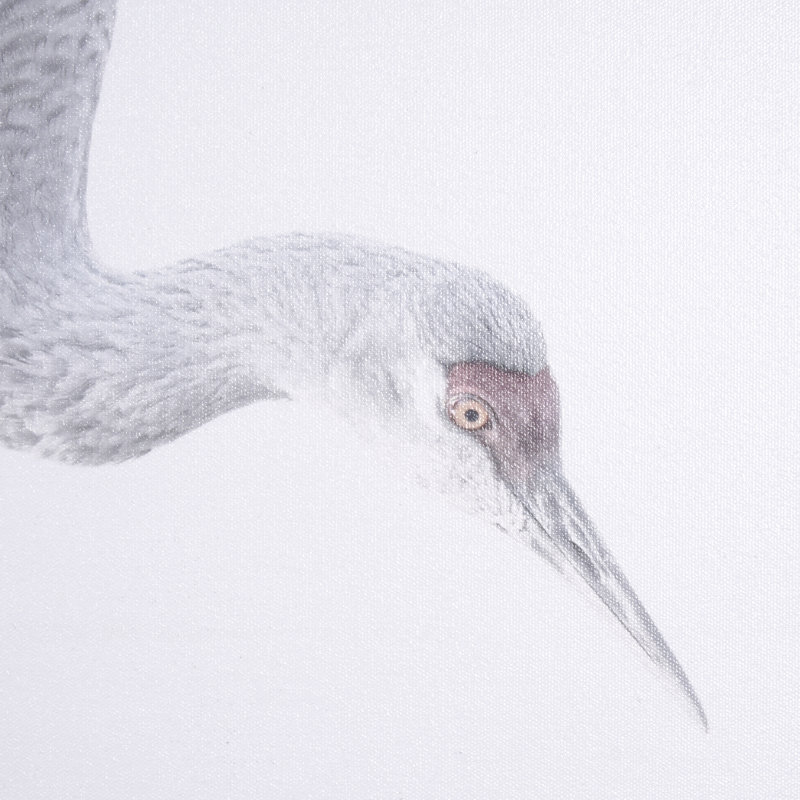 Sandhill Crane I by Chad Mckay a Hand Embelished Textured Framed Art Print