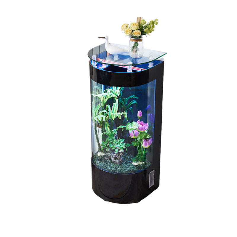 Aquarium 31,5 po, 66,04 gallons (H 54,33 po x l 31,5 po x P 19,69 po, Noir