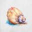 Nautical Sea Life_301 - Coussin décoratif en polyester-1925719959