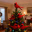 Paquet de 24 ornements cardinaux à pince rouge à motif de sapins de Noël décoratifs avec plumes pour artisanat couronne