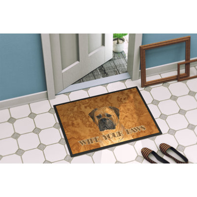 Non-Slip Indoor Doormat