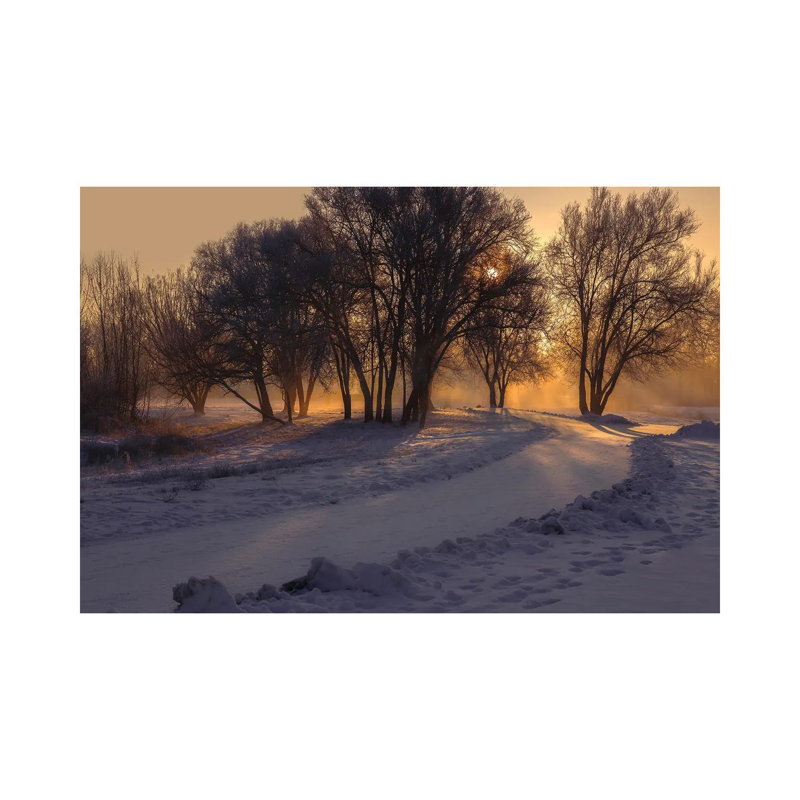 My Ray Of Light by Louis Ruth - Wrapped Canvas Print, 66.04cm H x 101.6cm Wx 1.905cm D