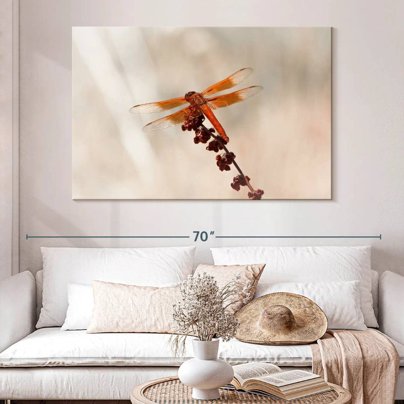 Chlorogomphus Dragonfly, 34" H x 51" W
