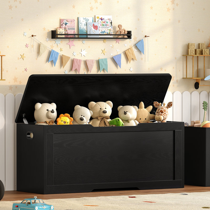 Coffre de rangement en rotin Bambina, H 19,49 po x l 47,24 po x P 15,75 po, Bois noir