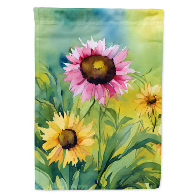 Double Sided 40'' H x 28'' W Polyester House Flag