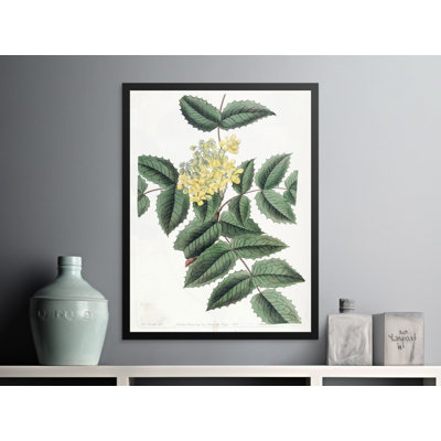 No Frame Print