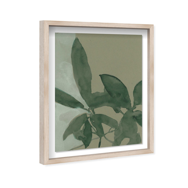 Oliver Gal Shadows II Floral & Botanical - Luxury Shadowbox Framed Wall Art, Cream, 32" H x 26" W