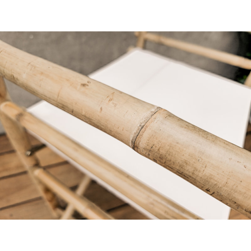 Laseter Folding Director Chair, Bone