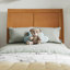 Lit plateforme en bois massif Lamayia avec pied de lit et lit gigogne-1034078369-1034078397