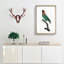 Caica Parrot by F. Levaillant - Picture Frame Painting Print-55513965-55513966