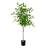 59'' Faux Foliage Tree in Pot