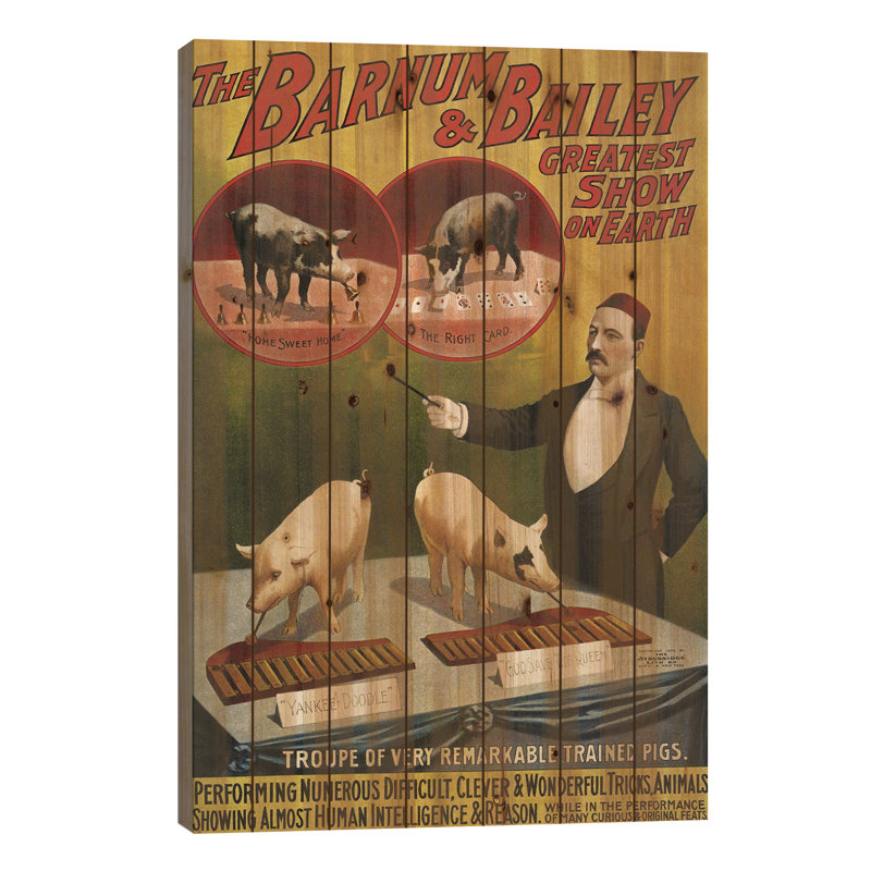 Affiche de cirque Barnum & Bailey des années 1900