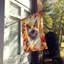 Chat en feuilles d'automne-112700521