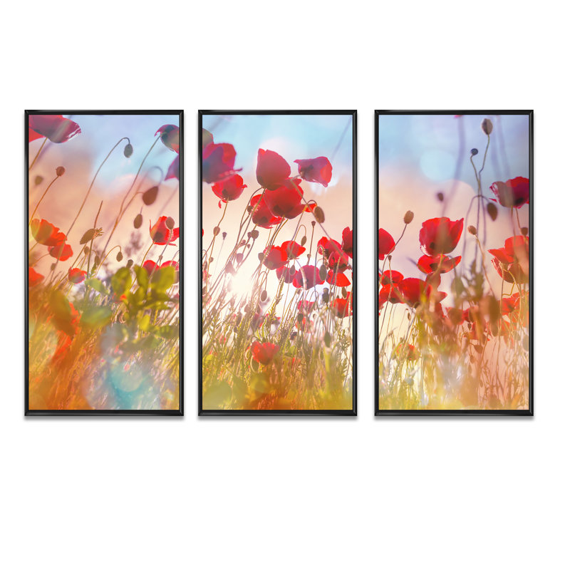 Jolies fleurs de coquelicot au soleil - ensemble de 3 toiles encadrées florales, Cadre noir, H 32 po x l 48 po x P 1 po