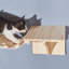Perchoir pour chat 8 po Minier