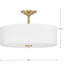 Mcgalliard Semi-Flush Mount Light