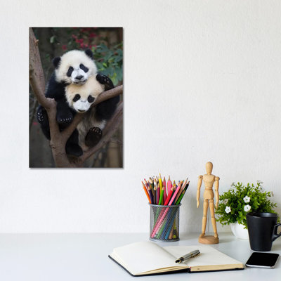 Giant Panda Six-To-Eight Month Old Cubs in Tree, Chengdu, China 1 Piece Wrapped Canvas Wall Art