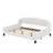 Full Size Modern Luxury Tufted Button Daybed-911406480