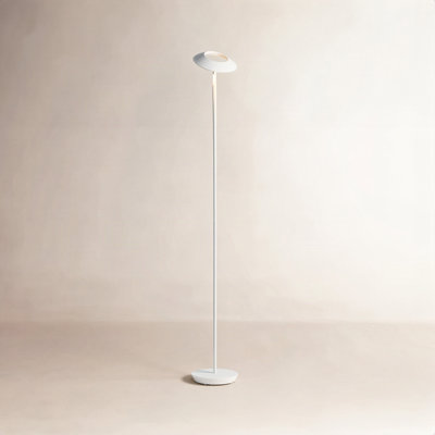 Royyo 45.5'' LED Floor Lamp