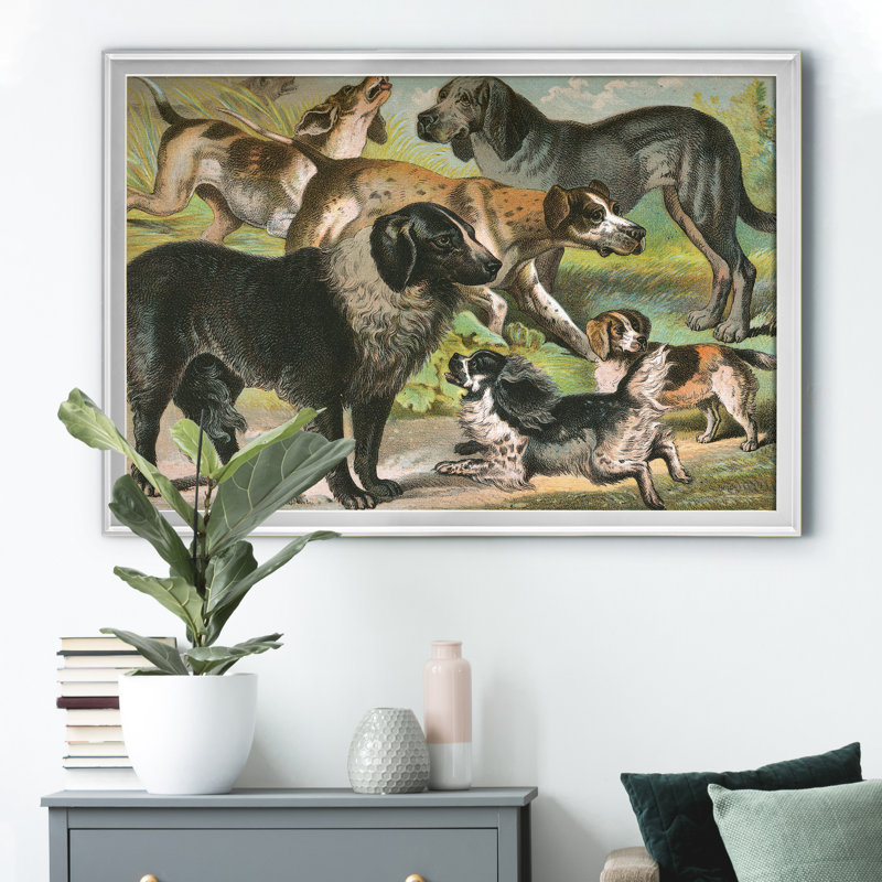 Reproduction d'art graphique sur toile Johnsons Dog Breeds III, Argent, H 18,5 po x l 24,5 po x P 1,5 po