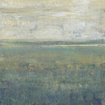 Sage Terrain I by Timothy O' Toole - Wrapped Canvas Painting