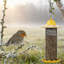 Mangeoire d'oiseaux Finch