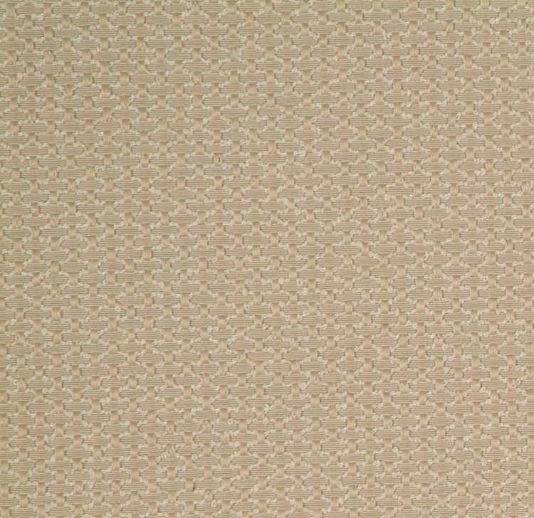 Allure Fabric