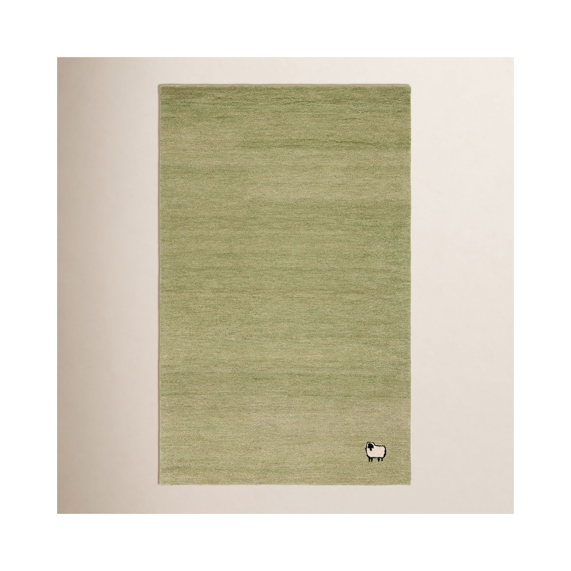 Racheal Handmade Light Green Rug, Rectangle 5' x 8'