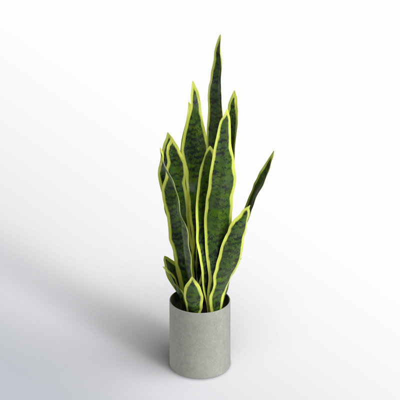 Artificial Sansevieria Snake Plant in Pot, 25'' H x 11'' W x 11'' D