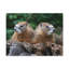 No Frame Print on Canvas