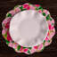 Vida Vinyl Round Placemats