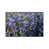 White Floater Frame is unavailable