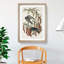 Fish Crows by John James Audubon - Picture Frame Art Print-55609180-55609183