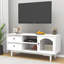 Modern TV Stand with Multiple Storage Options and Sturdy Construction