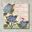 «Parisian Hydrangeas I» par Paul Brent-726485688